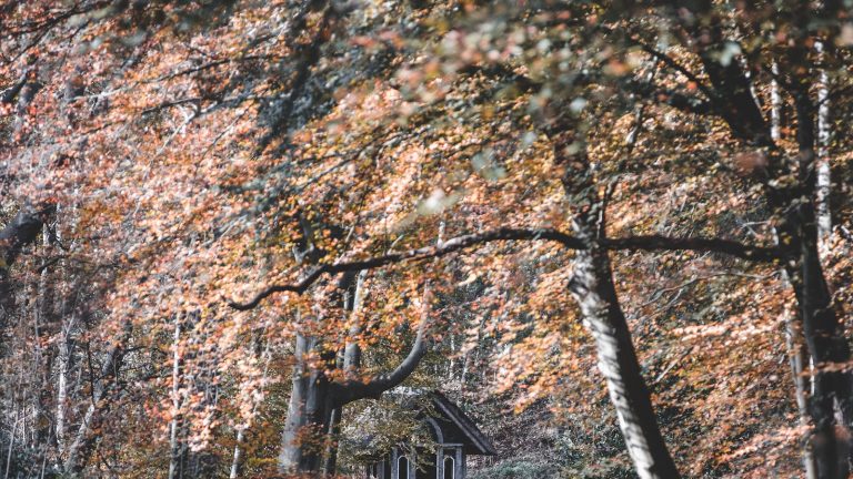 opbergtips voor een opgeruimd en stijlvol huis