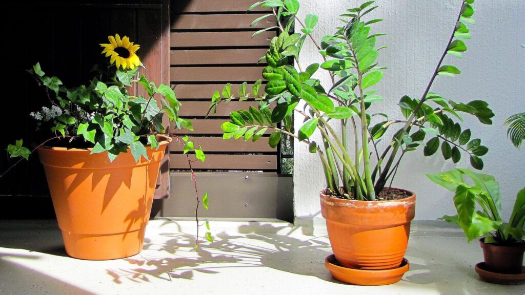 blog terras balkon buitenruimte interieurstudio85