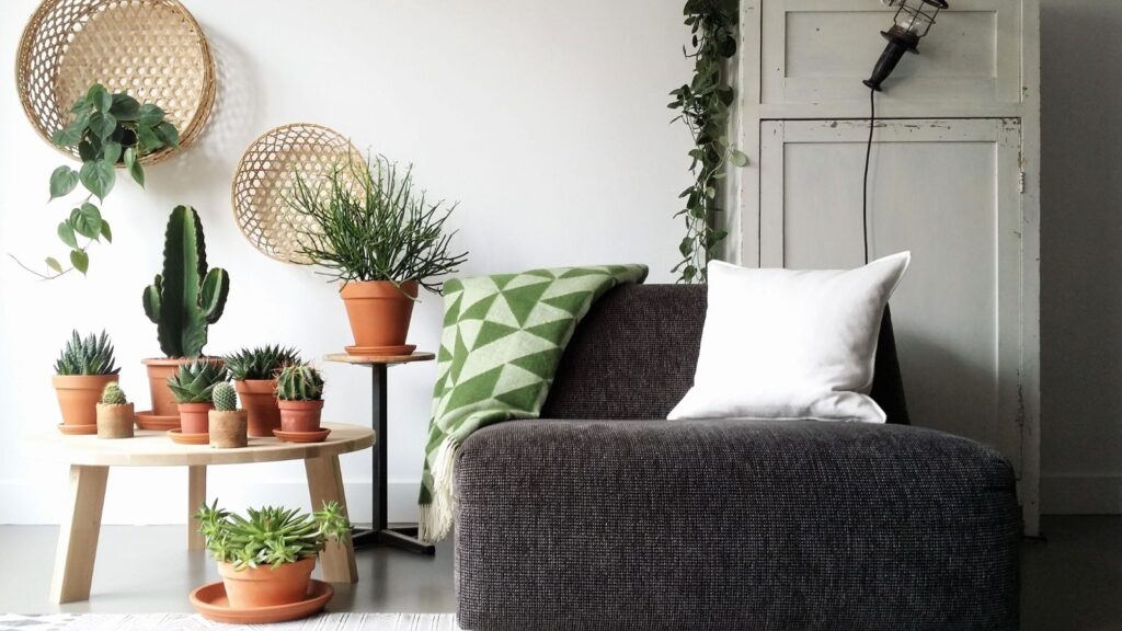 interieurstudio85 blog gebruik planten interieur