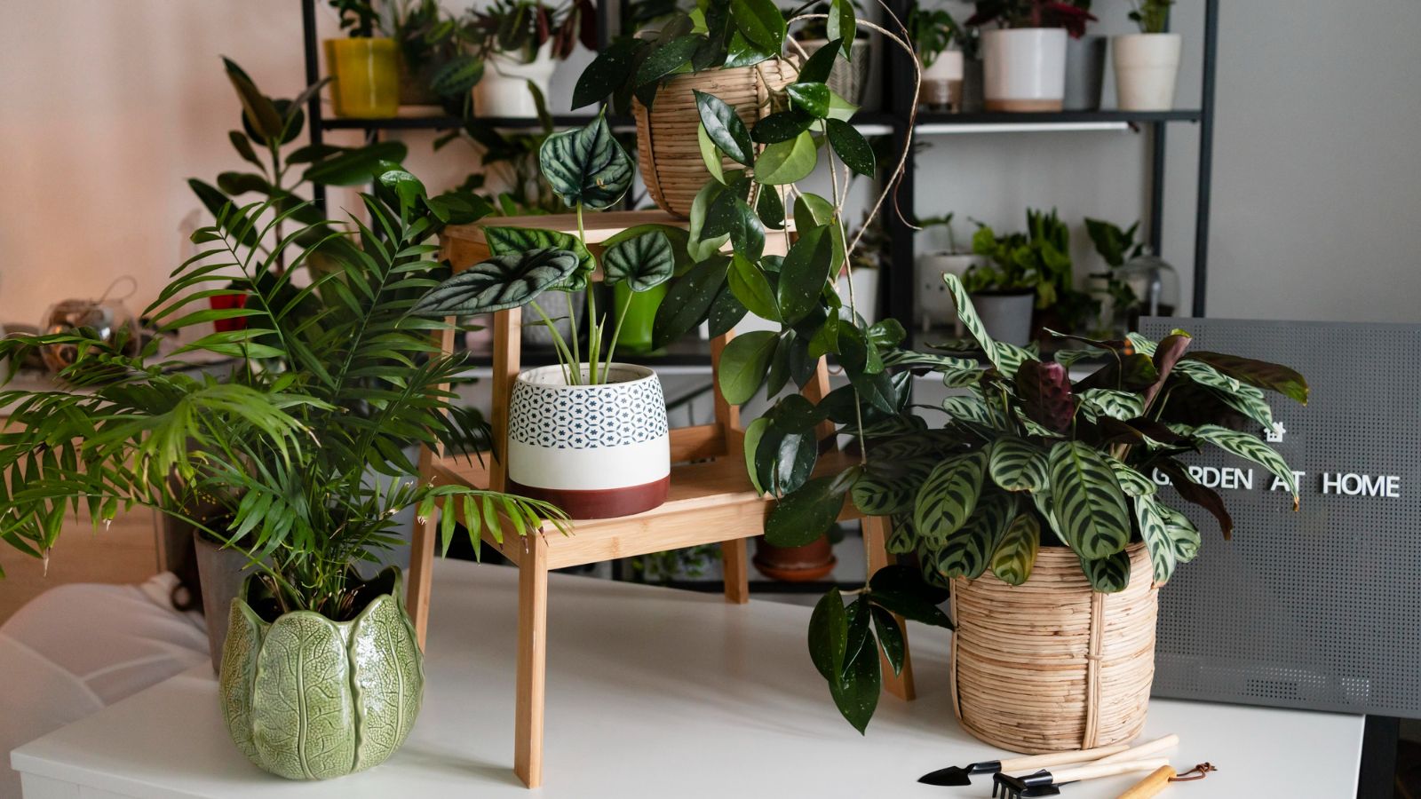 planten interieur blog interieurstudio85