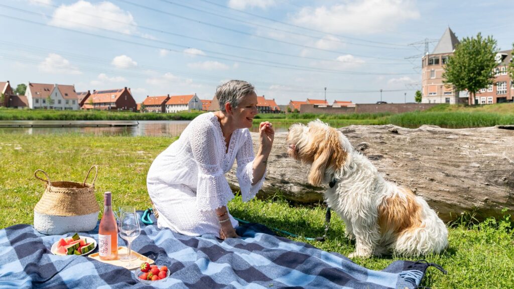 interieur huisdiervriendelijk interieurstudio85