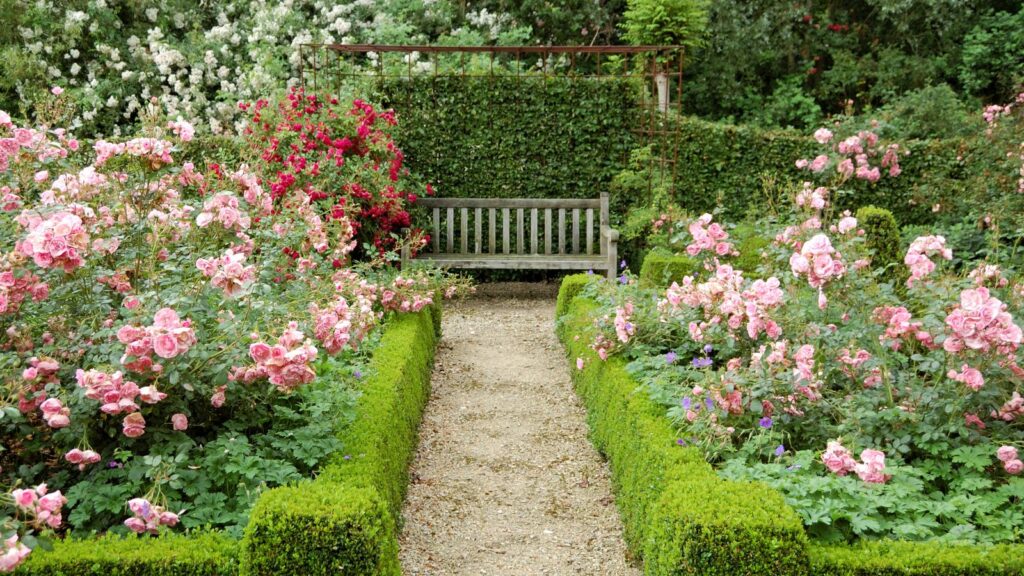 blog buiten tuin